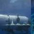 Terrifying Audio Captured From OceanGate Sub