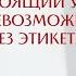 Настоящий успех невозможен без этикета Интервью со специалистом по коммуникациям Анной Валл