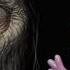 СТРАШИЛКИ НА НОЧЬ ОТ ПАПЫ пирожок с ногтем мультик СТРАШНЫЕ ИСТОРИИ Horror Pig мультфильм 2018