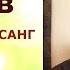 Илья Беляев ИНТЕРВЬЮ САТСАНГ в проекте Практики с Дмитрием Михайловым