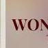 Taylor Swift Wonderland Lyrics