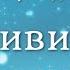 Роберт Адамс Живите спонтанно Nikosho