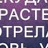 Не выгоняйте меня мне некуда идти Настя растерянно смотрела на свекровь увидев фотографии