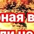 ПОЧИНЯЕМ ШТОРЫ СДАЛ СУПРУГУ В СЕРВИС ПО ГАРАНТИИ ЯДЕРНАЯ ВОЙНА БЫТЬ ИЛИ НЕ БЫТЬ