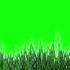 GREEN SCREEN FEILD GRASS