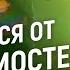 Как избавиться от зависимостей Петр Осипов Метаморфозы БМ