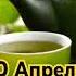 Зелёный чай история и польза напитка