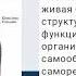 Клетка строение химический состав жизни деятельност
