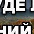 ПОГОДА НА ЗАВТРА 18 ЛИСТОПАДА Прогноз погоди в Україні