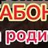 Алекс Брежнев Вегабонд встретились два одиночества Москва Обиды и нытьё Vegabond Alex Brezhnev