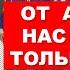 Власть начала активно промывать детям мозги Плати налоги и погибай Pravda GlazaRezhet