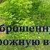 Поход на частично заброшенную Ж Д ветку в г Пермь