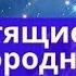 Летящие звезды и благородные помощники дома на 2020 год