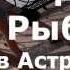 как проходит День Рыбака в Астрахани в 2012 2014 годах