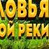 Пение Соловья У Тихой Деревенской Речки Унесёт Ваши Тревоги И Печали Звуки Природы ASMR