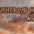Малиновые ночи