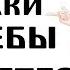 Какие ЛАЙФХАКИ для УЧЕБЫ для СТУДЕНТОВ и ШКОЛЬНИКОВ Вы Знаете Апвоут