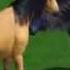 The Sims 3 Spirit 2