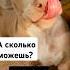 А сколько сможешь Немного это мало AmbullArtur собакалюбовь питомцы домашние Dogs Ambull