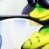 Longplay Of Gex