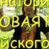 Санаторий Березовая роща под Барнаулом Культурный досуг в санатории