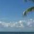 Relaxing 3 Hour Video Of A Tropical Beach With Blue Sky White Sand And Palm Tree