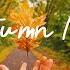 Autumn Mood Songs Make You Feel Better Mood In Autumn Best Indie Pop Folk Acoustic Playlist