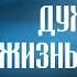 Что есть духовная жизнь и как на нее настроиться Ч4 свт Феофан Затворник