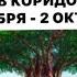 ПИТРИ ПАКША В КОРИДОРЕ ЗАТМЕНИЙ 17 СЕНТЯБРЯ 2 ОКТЯБРЯ 2024