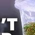 4 Things I Got Totally Wrong About Tissue Culture
