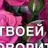 Озвучка для мамы У МУЖСКОГО ПОЛА НЕ ПРИНИМАЮ