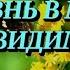 7 ЖИЗНЬ В МИРЕ НЕВИДИМОМ Энтони Борджиа околосмертныйопыт жизньпослежизни аудиокниги душа