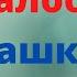 Каалоо жашка карабайт Жашым 30 40 та тил уйронсом болобу