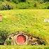 Hobbiton Movie Set Tour From Rotorua New Zealand