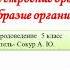 Организм и его свойства Клеточное строение организма Разнообразие организмов