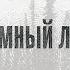 SAVUL Тёмный лес