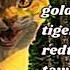 Animal Cannibal Tigerstar Goldenflower