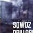 SQWOZ BAB DRILLОВЫЕ ЕБЕНЯ SQWIRTOSLAW REMIX