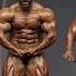 HADI CHOOPAN POSING MR OLYMPIA 2023