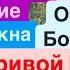 Днепр Взрывы Взрывы Харьков Мощные Прилеты Взрывы Кривой Рог Убиты Люди Днепр 20 сентября 2024 г