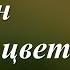 У сильных женщин на окне цветы стихи Наталии Гросс