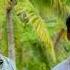 Blumhouse S Fantasy Island Michael Pena Maggie Q Lucy Hale