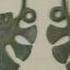 История одной вещи Потомки вятичей