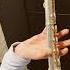 Playing Notes Really Badly Flute Solo