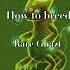 How To Breed Rare Ghazt Ghazt Mysingingmonsters