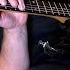 Avenged Sevenfold Almost Easy POV Guitar Cover 2024 SCREEN TABS