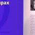 Книга Справа Колліні Фердинанд фон Ширах