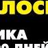 ТЕХНИКА ТЕТРАДЬ 100 ДНЕЙ КАК ПРАВИЛЬНО ЗАПИСЫВАТЬ СВОИ ЖЕЛАНИЯ Как загадать желание