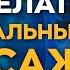 Оздоравливаем внутренние органы живота без таблеток Висцеральная терапия