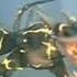 GMV Century Age Of Ashes Classe Saqueador